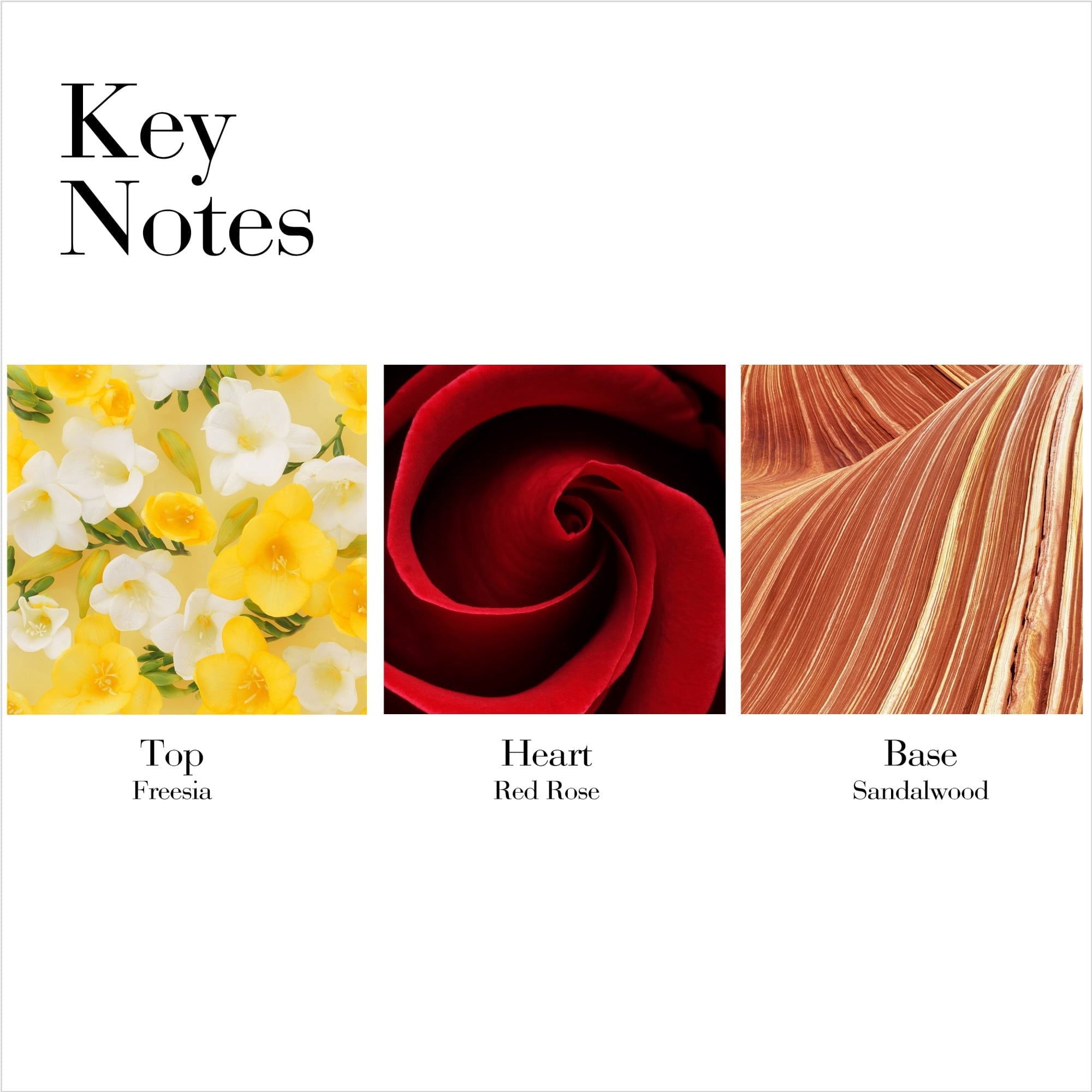 Elizabeth Arden Elizabeth Arden Red Door Eau De Toilette Spray Natural, Perfume for Women, 3.3 fl. oz, 3.3 fl oz