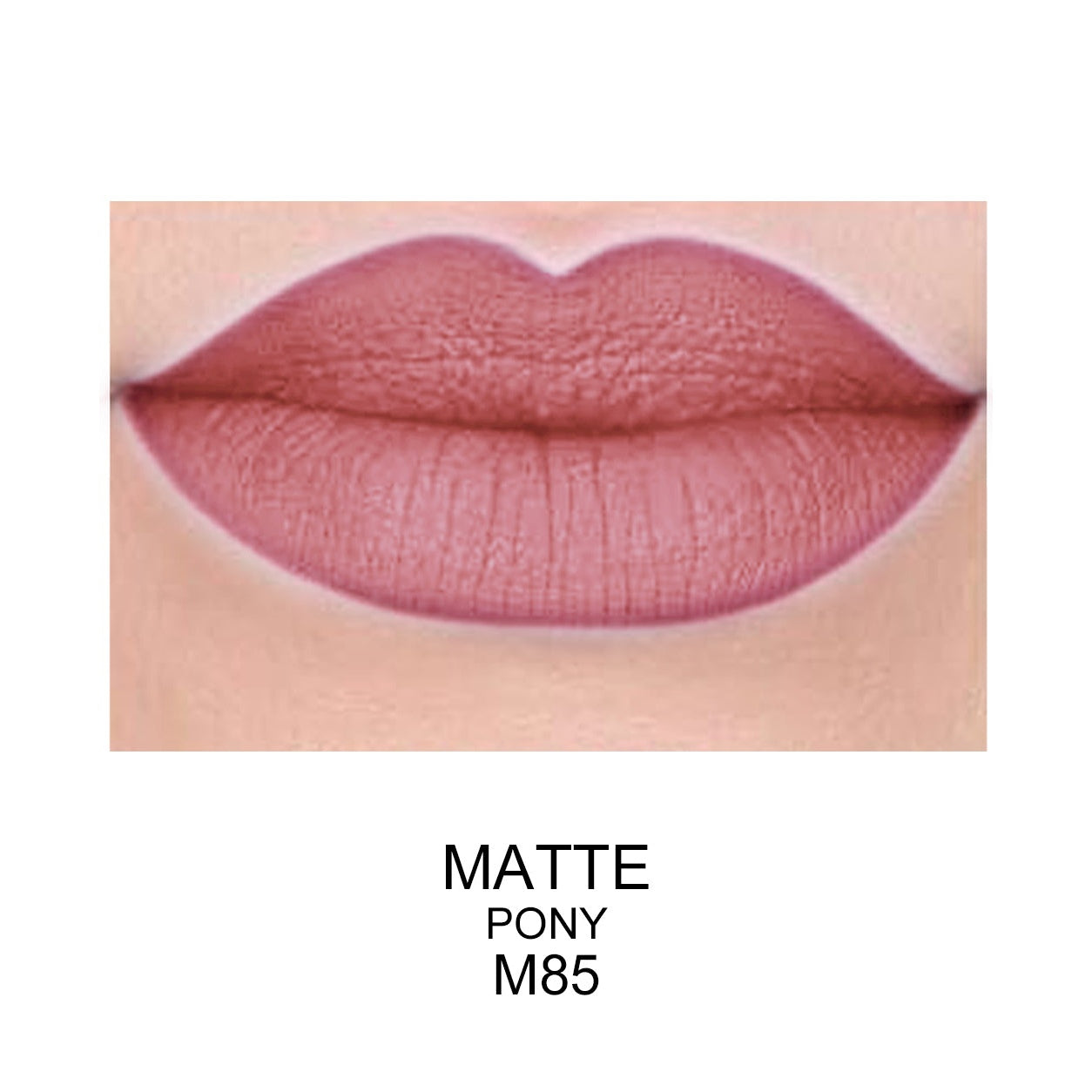 Best Matte Long Lasting Lip Gloss - Prolux