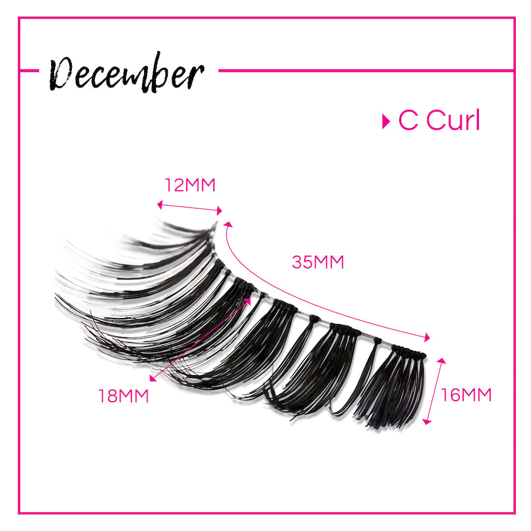GladGirl False Lashes Bundle - September