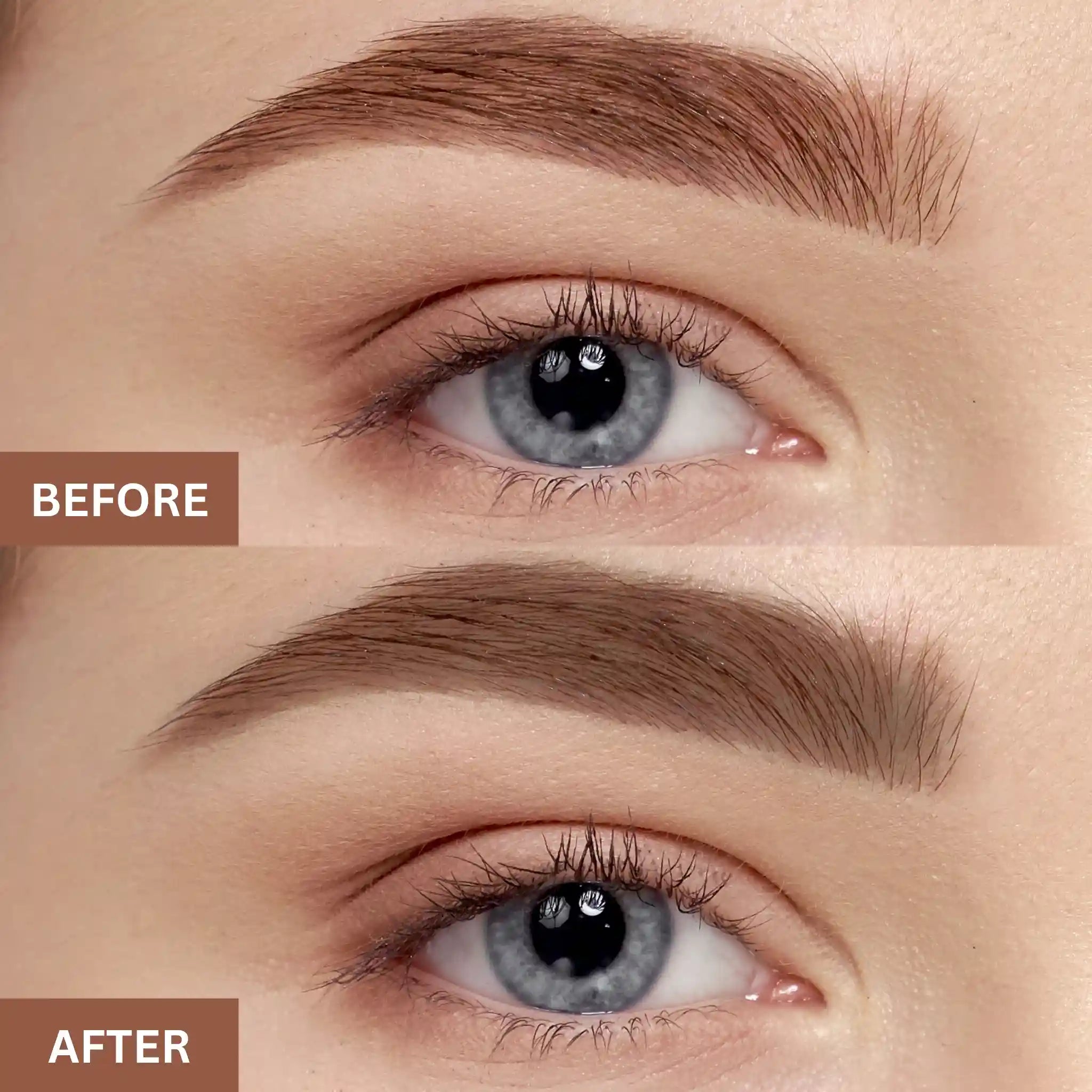 Eyebrow Gel and Powder