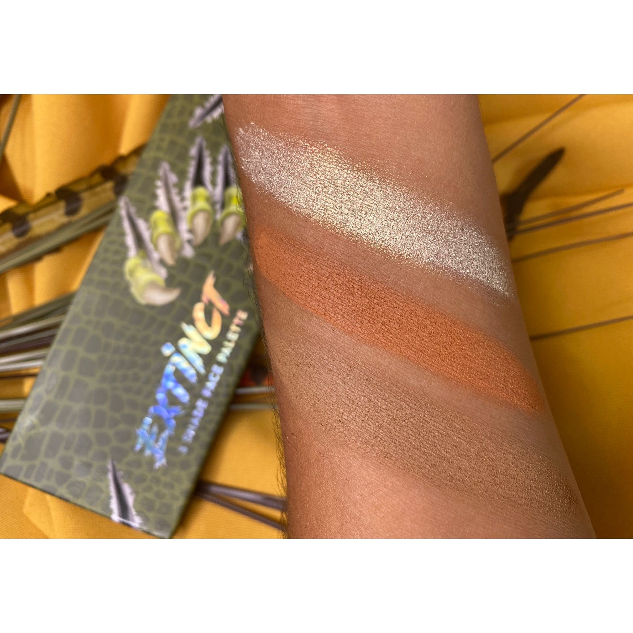 Prehistoric Collection