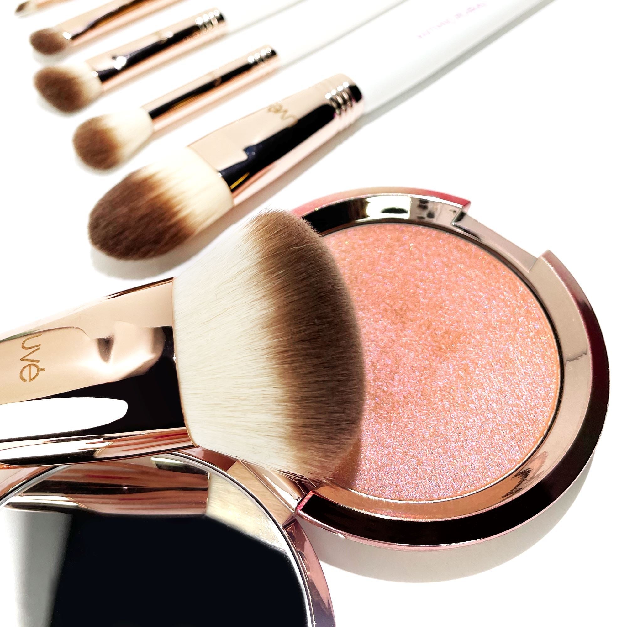 Professional Antimicrobial Brush Set  (11+)