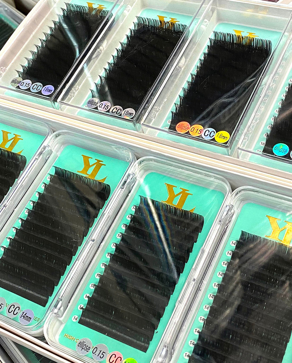 Flat Lashes/ Ellipse Lash 0.15mm [Extra Matte Dark Black-8 to 18mm]